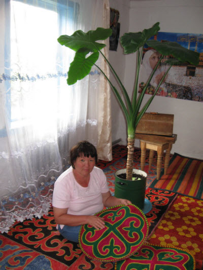 Гульнар   Кожамжарова - мастерица традиционного казахского прикладного искусства, победительница I Казахстанского конкурса ремесленников «Шебер»  в г. Астане. 