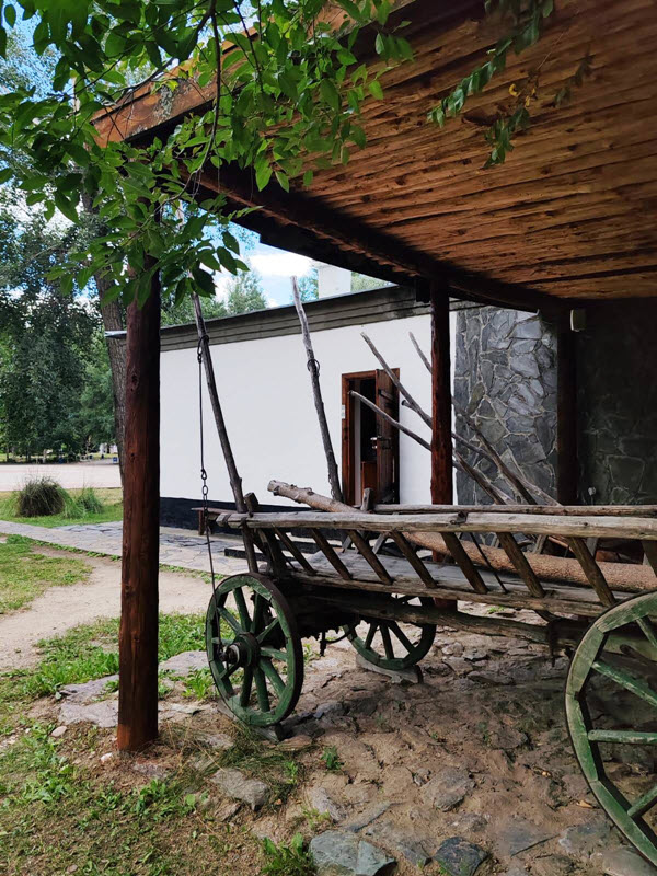 Сығылған қынаптан мүшені қалай шығаруға болады Камерадағы жетілген минет