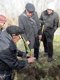 Фото акции «Посади дерево!»
